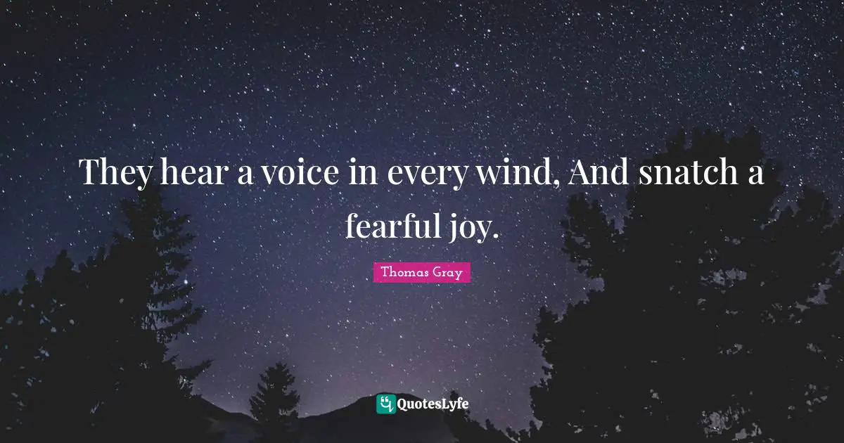 Thomas Gray Quotes: "They hear a voice in every wind, And snatch a fearful joy."
