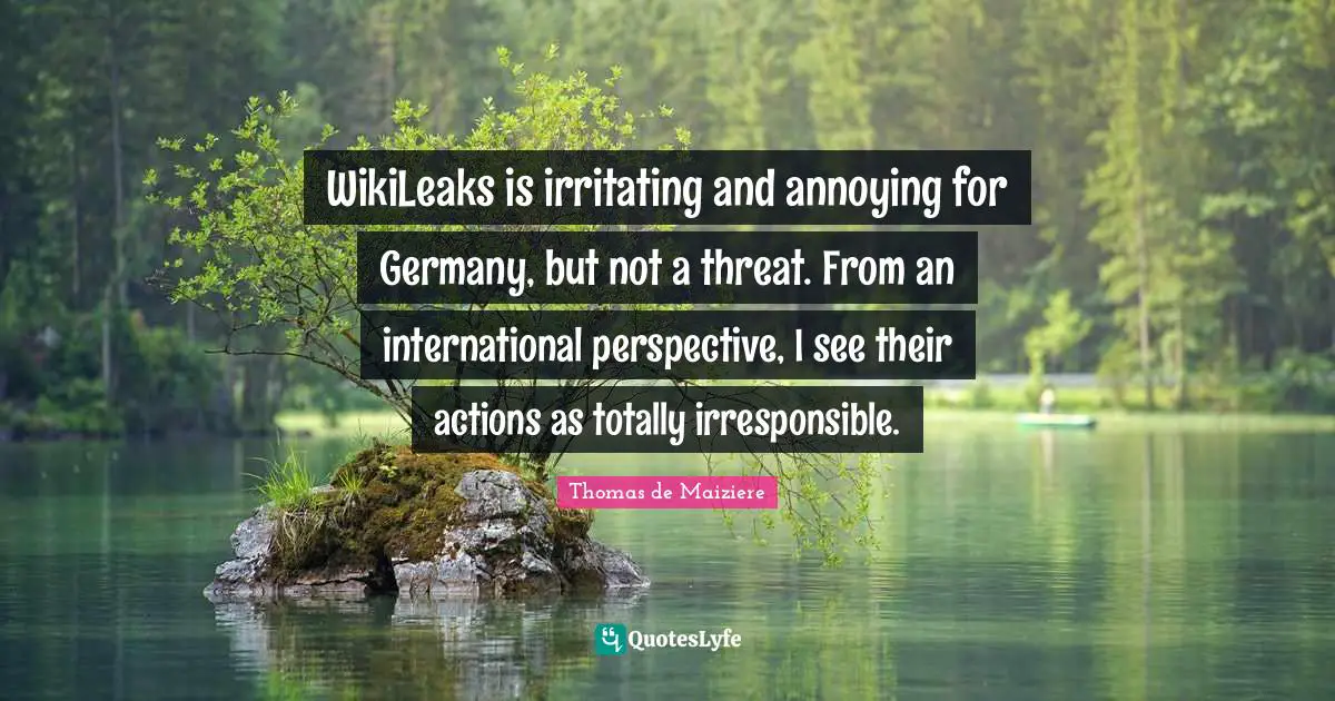 WikiLeaks is irritating and annoying for Germany, but not a threat. From an international perspective, I see their actions as totally irresponsible.
