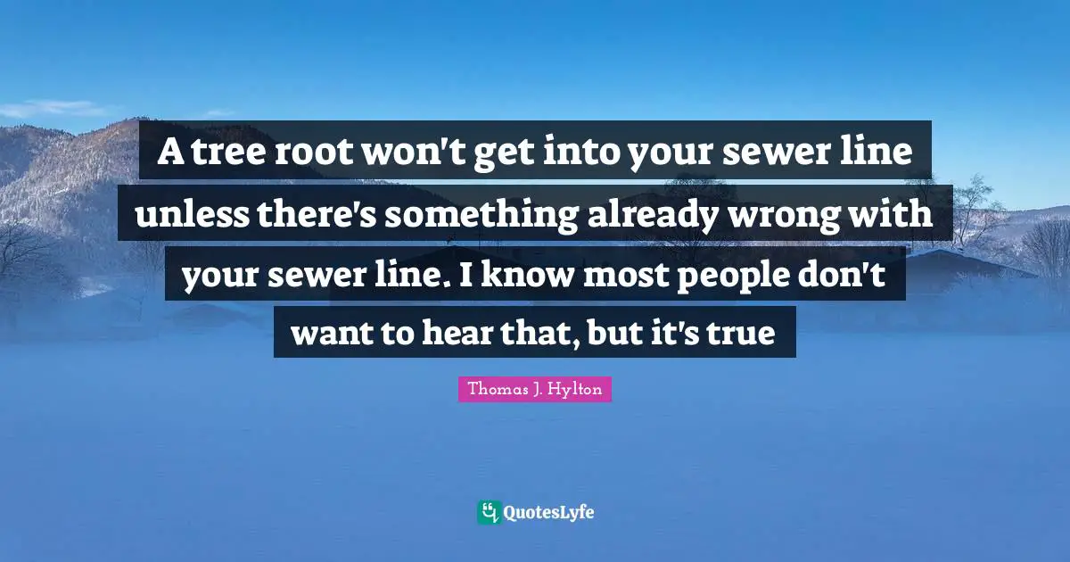 A tree root won't get into your sewer line unless there's something already wrong with your sewer line. I know most people don't want to hear that, but it's true