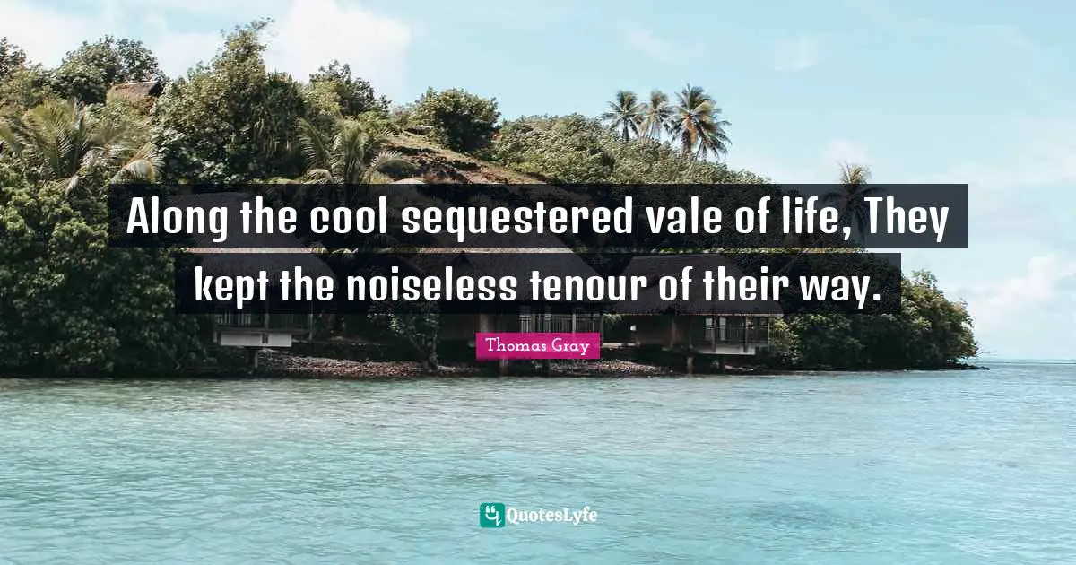 Along the cool sequestered vale of life, They kept the noiseless tenour of their way.