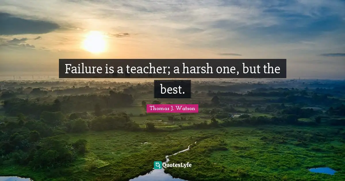 Failure is a teacher; a harsh one, but the best.