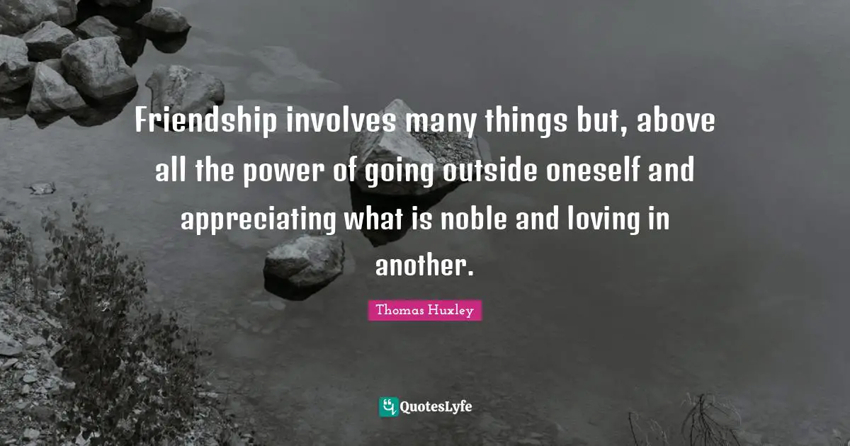 Friendship involves many things but, above all the power of going outside oneself and appreciating what is noble and loving in another.