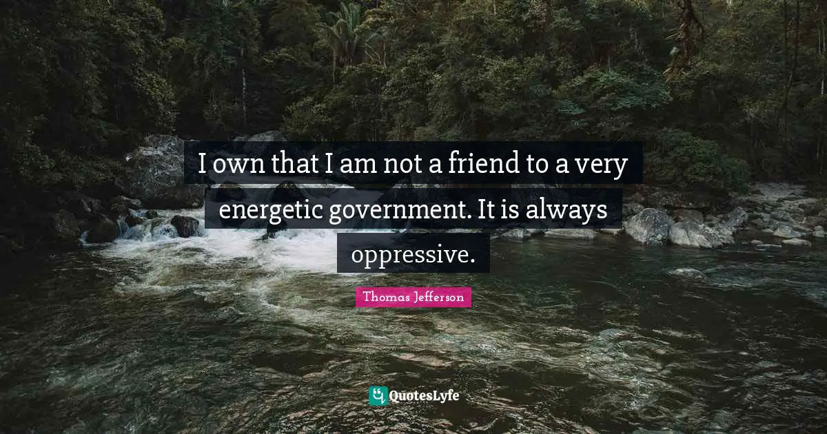 I own that I am not a friend to a very energetic government. It is always oppressive.