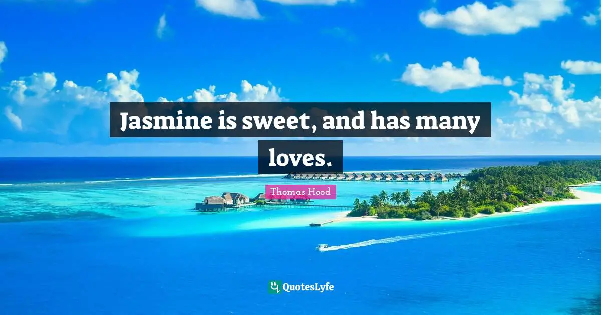 Jasmine is sweet, and has many loves.