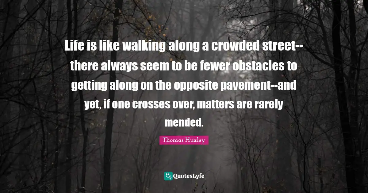 Life is like walking along a crowded street--there always seem to be fewer obstacles to getting along on the opposite pavement--and yet, if one crosses over, matters are rarely mended.