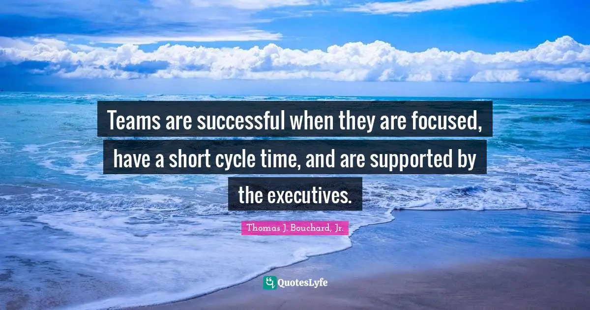 Teams are successful when they are focused, have a short cycle time, and are supported by the executives.