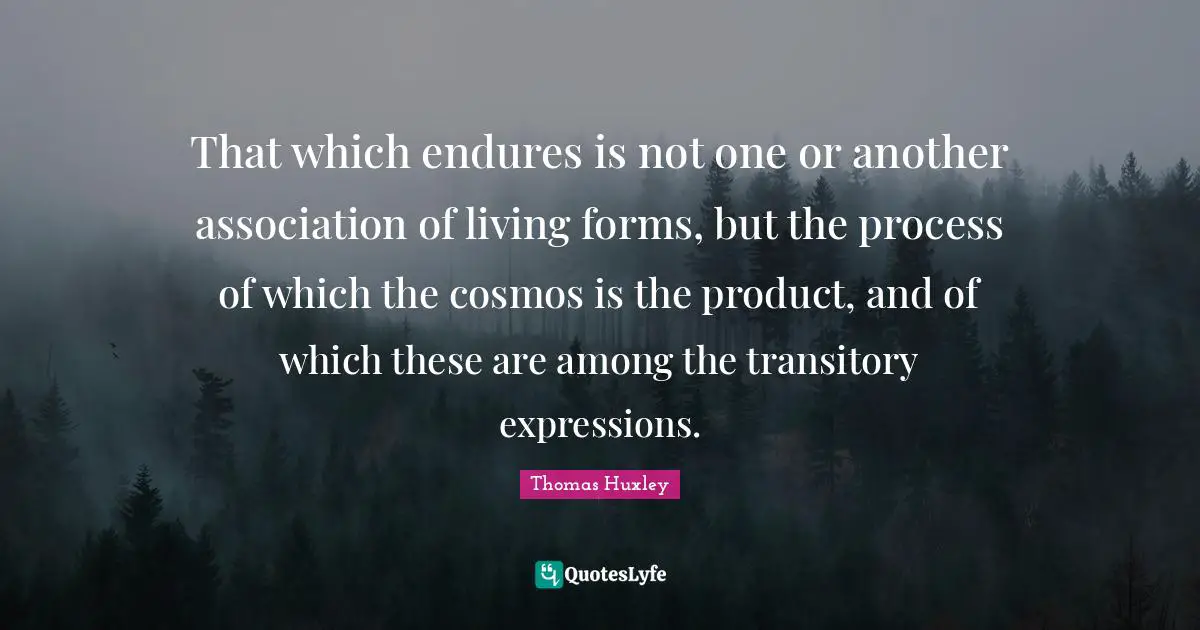 That which endures is not one or another association of living forms, but the process of which the cosmos is the product, and of which these are among the transitory expressions.
