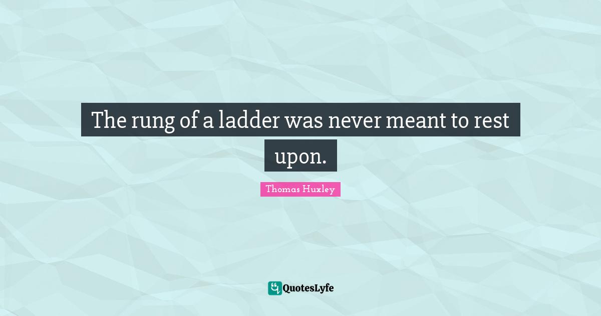 The rung of a ladder was never meant to rest upon.