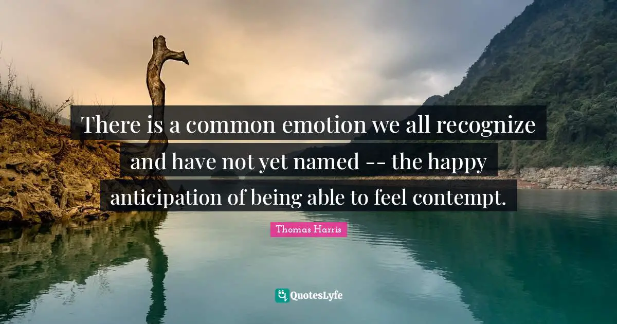There is a common emotion we all recognize and have not yet named -- the happy anticipation of being able to feel contempt.