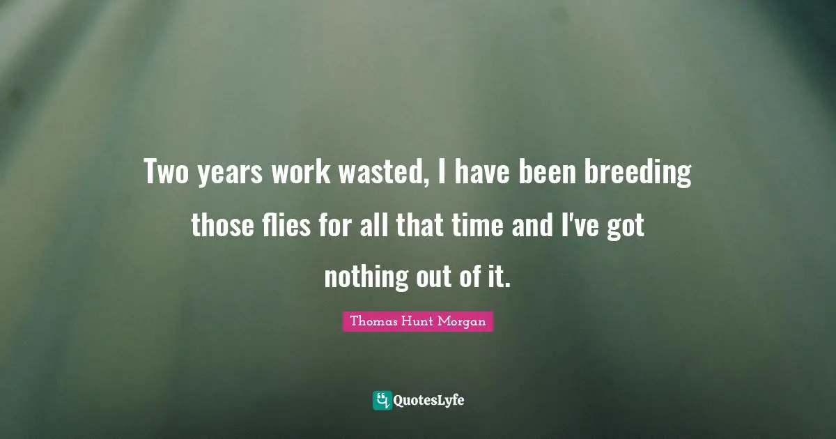 Two Years Quotes: "Two years work wasted, I have been breeding those flies for all that time and I've got nothing out of it."