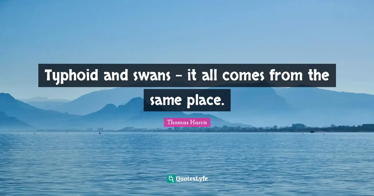 Thomas Harris Quotes: "Typhoid and swans - it all comes from the same place."