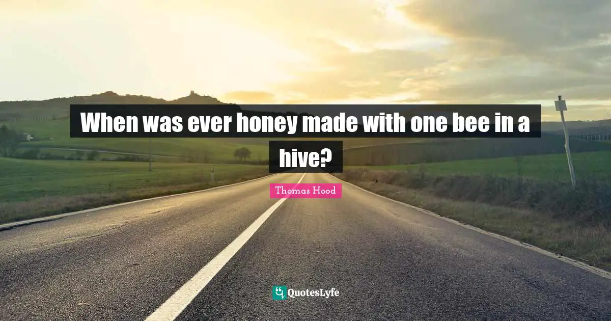 When was ever honey made with one bee in a hive?