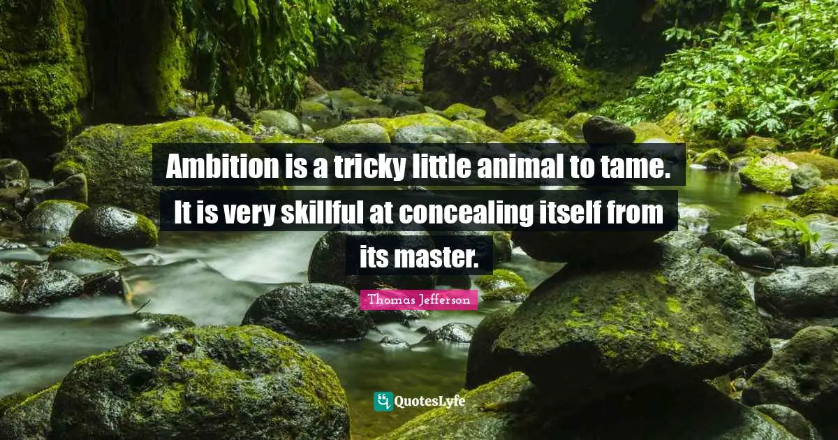Ambition is a tricky little animal to tame. It is very skillful at concealing itself from its master.