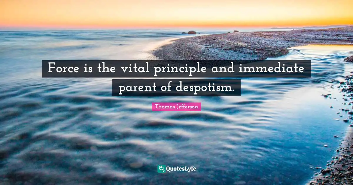 Force is the vital principle and immediate parent of despotism.