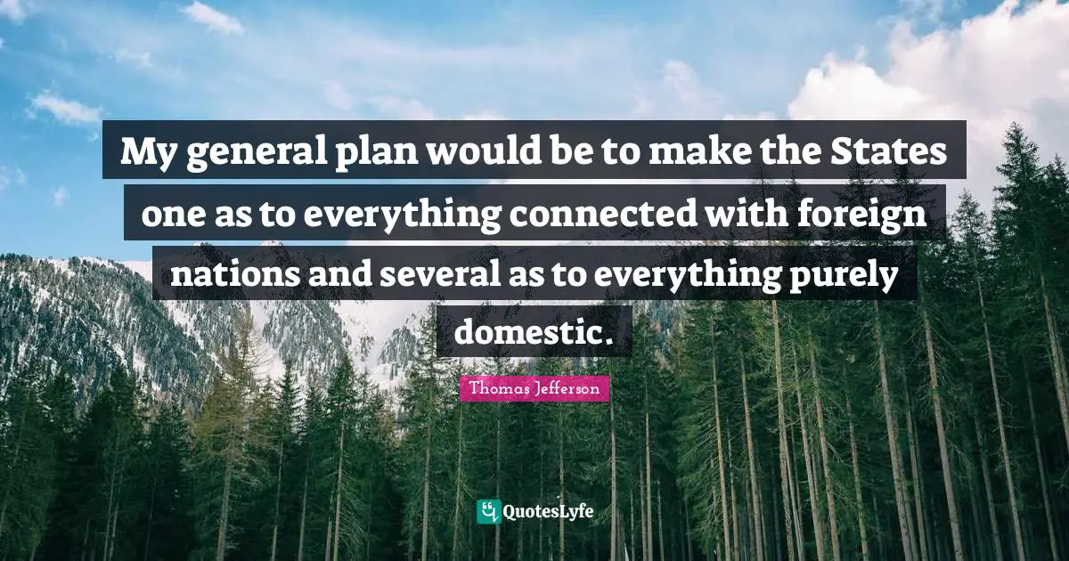 My general plan would be to make the States one as to everything connected with foreign nations and several as to everything purely domestic.
