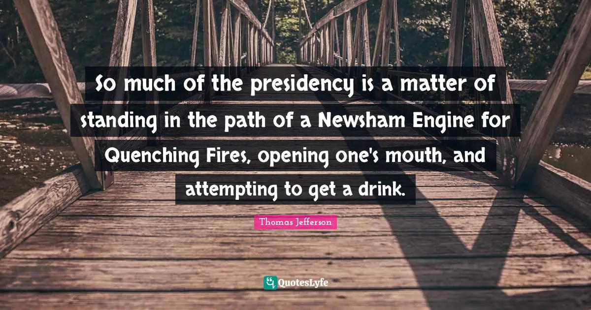 So much of the presidency is a matter of standing in the path of a Newsham Engine for Quenching Fires, opening one's mouth, and attempting to get a drink.
