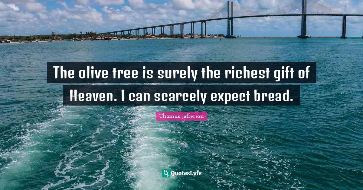 Olive Oil Quotes: "The olive tree is surely the richest gift of Heaven. I can scarcely expect bread."