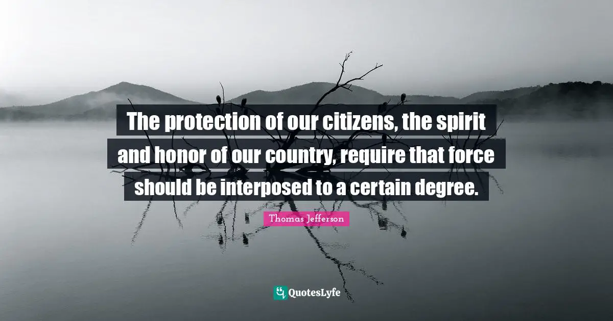The protection of our citizens, the spirit and honor of our country, require that force should be interposed to a certain degree.