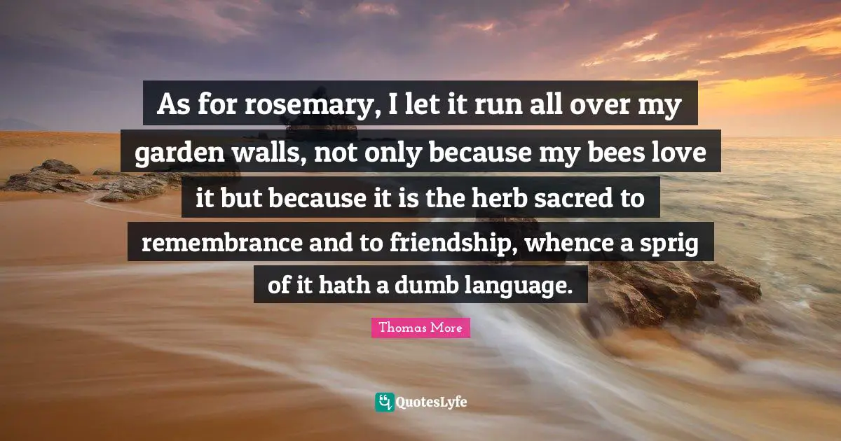 Bees Quotes: "As for rosemary, I let it run all over my garden walls, not only because my bees love it but because it is the herb sacred to remembrance and to friendship, whence a sprig of it hath a dumb language."
