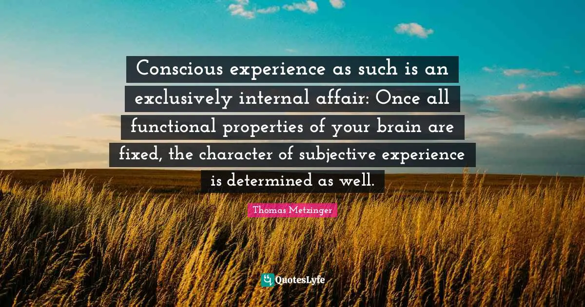 Conscious experience as such is an exclusively internal affair: Once all functional properties of your brain are fixed, the character of subjective experience is determined as well.