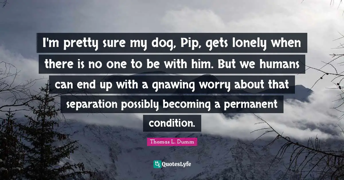 I'm pretty sure my dog, Pip, gets lonely when there is no one to be with him. But we humans can end up with a gnawing worry about that separation possibly becoming a permanent condition.