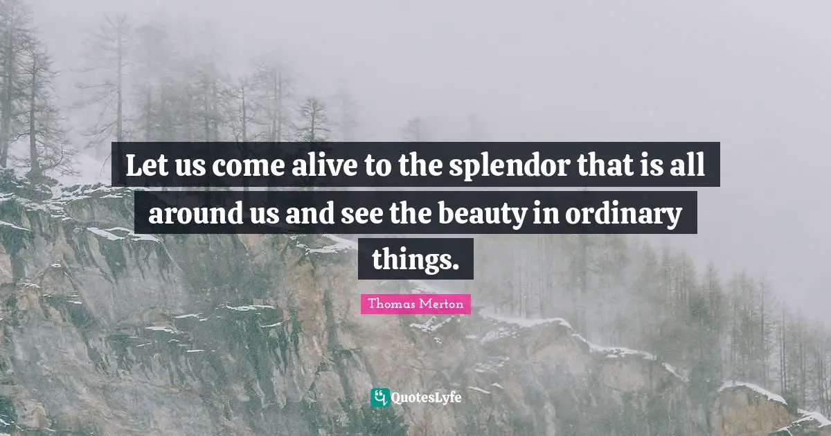 Let us come alive to the splendor that is all around us and see the beauty in ordinary things.