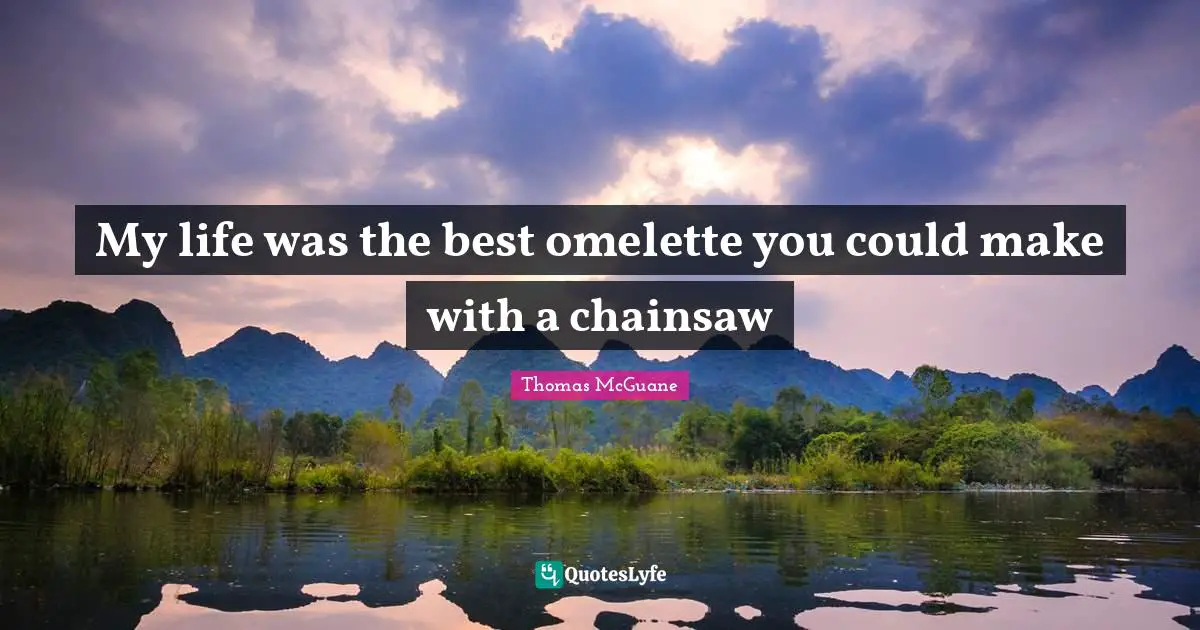 My life was the best omelette you could make with a chainsaw