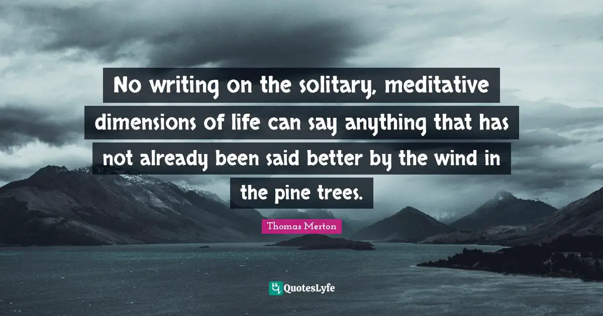 No writing on the solitary, meditative dimensions of life can say anything that has not already been said better by the wind in the pine trees.