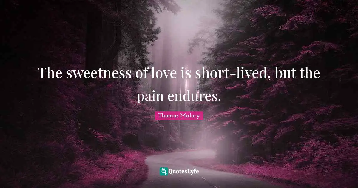 The sweetness of love is short-lived, but the pain endures.