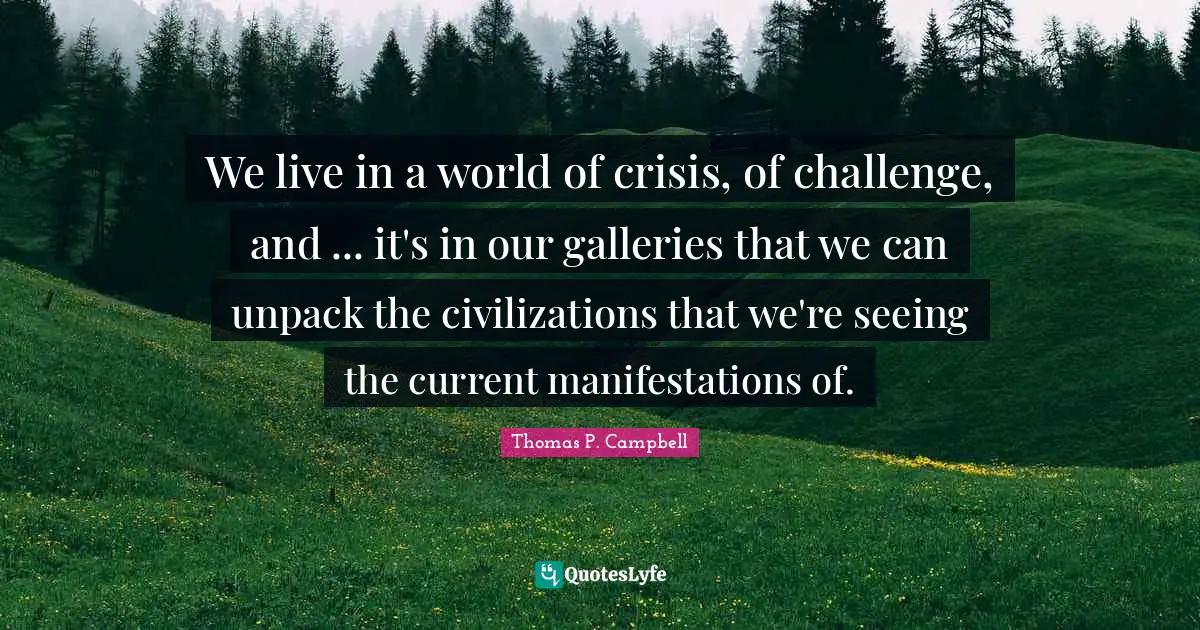 We live in a world of crisis, of challenge, and ... it's in our galleries that we can unpack the civilizations that we're seeing the current manifestations of.