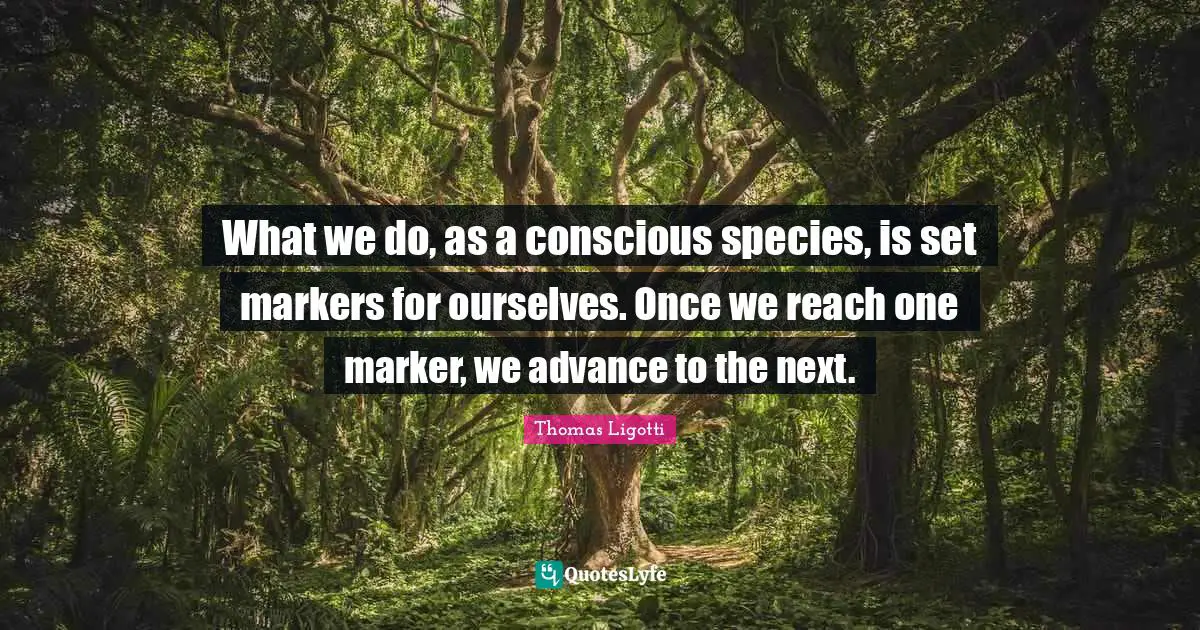 What we do, as a conscious species, is set markers for ourselves. Once we reach one marker, we advance to the next.