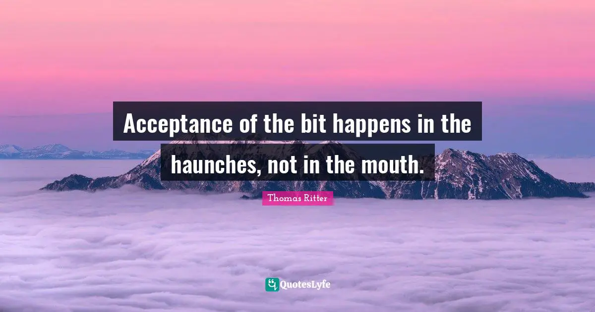 Acceptance of the bit happens in the haunches, not in the mouth.