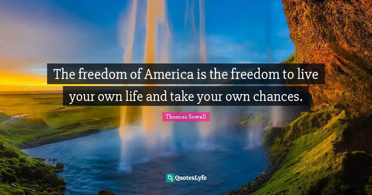 The freedom of America is the freedom to live your own life and take your own chances.