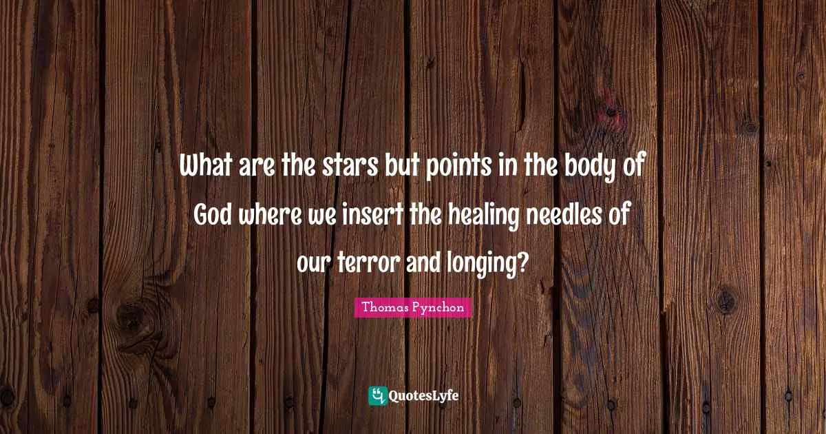 What are the stars but points in the body of God where we insert the healing needles of our terror and longing?