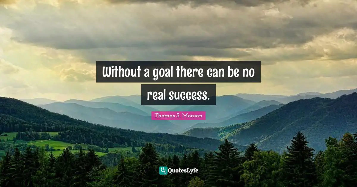Without a goal there can be no real success.