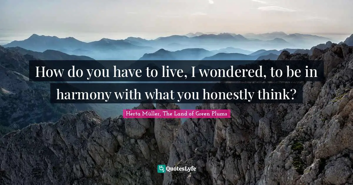 How do you have to live, I wondered, to be in harmony with what you honestly think?