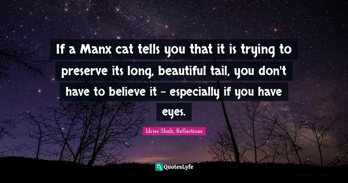 Idries Shah, Reflections Quotes: "If a Manx cat tells you that it is trying to preserve its long, beautiful tail, you don't have to believe it - especially if you have eyes."