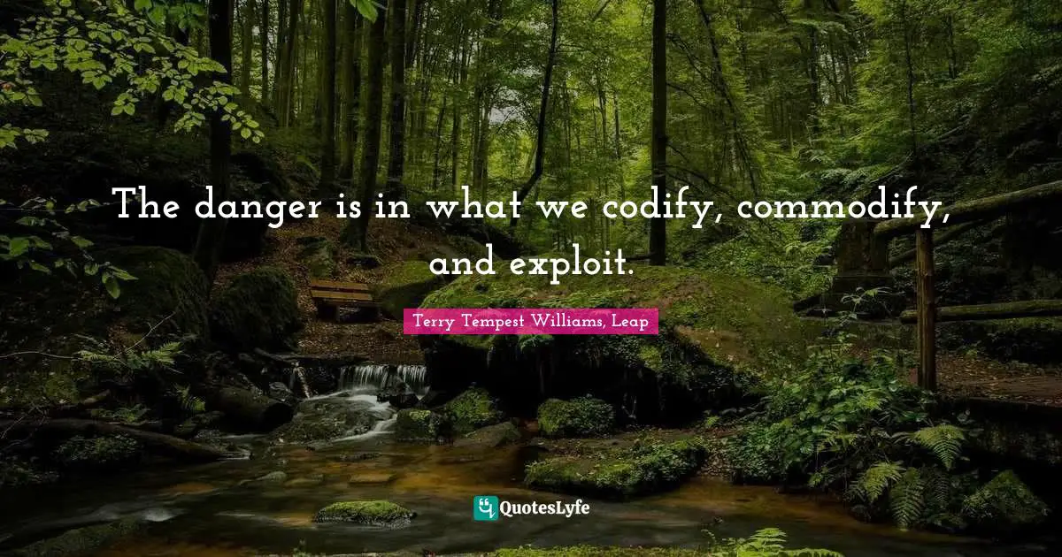 The danger is in what we codify, commodify, and exploit.