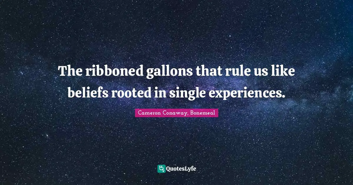 The ribboned gallons that rule us like beliefs rooted in single experiences.