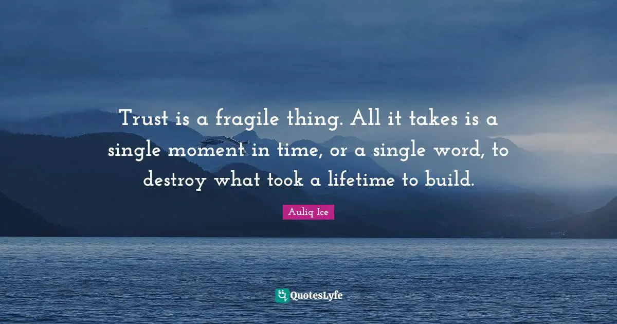 Trust is a fragile thing. All it takes is a single moment in time, or a single word, to destroy what took a lifetime to build.