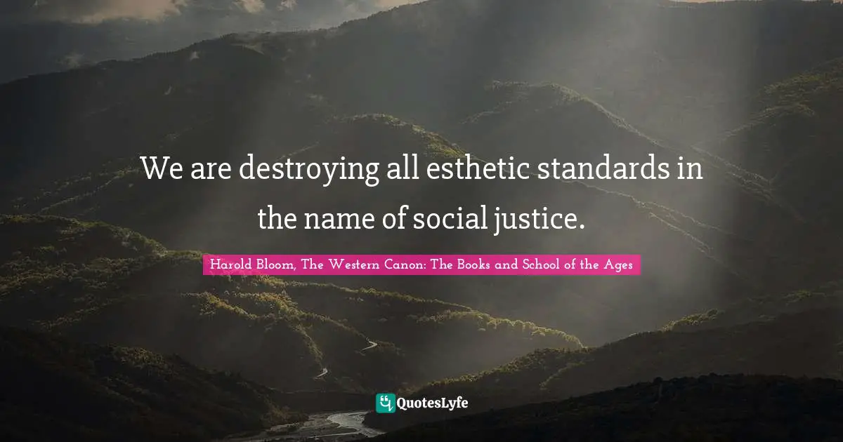 We are destroying all esthetic standards in the name of social justice.