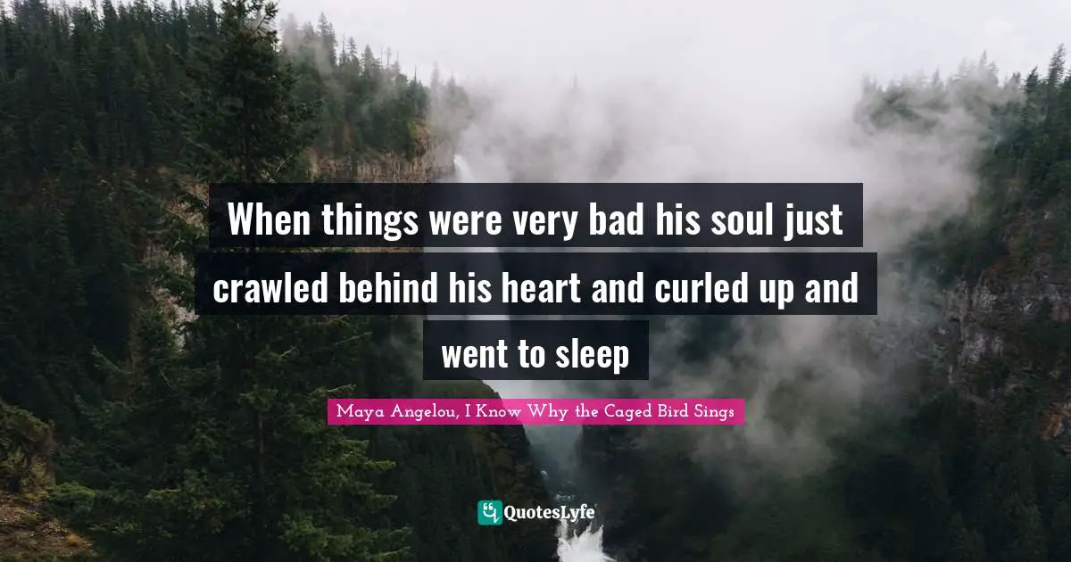 Maya Angelou, I Know Why The Caged Bird Sings Quotes: "When things were very bad his soul just crawled behind his heart and curled up and went to sleep"