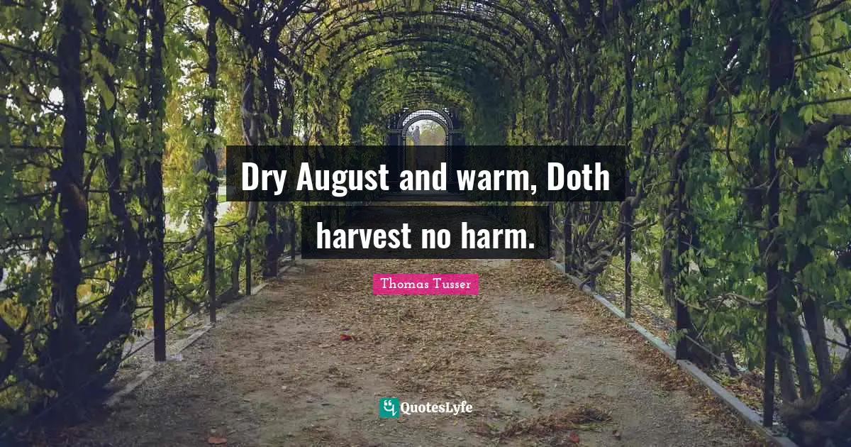 Thomas Tusser Quotes: "Dry August and warm, Doth harvest no harm."