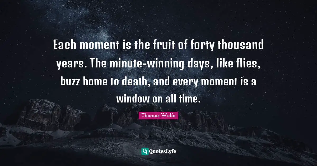 Thomas Wolfe Quotes: "Each moment is the fruit of forty thousand years. The minute-winning days, like flies, buzz home to death, and every moment is a window on all time."