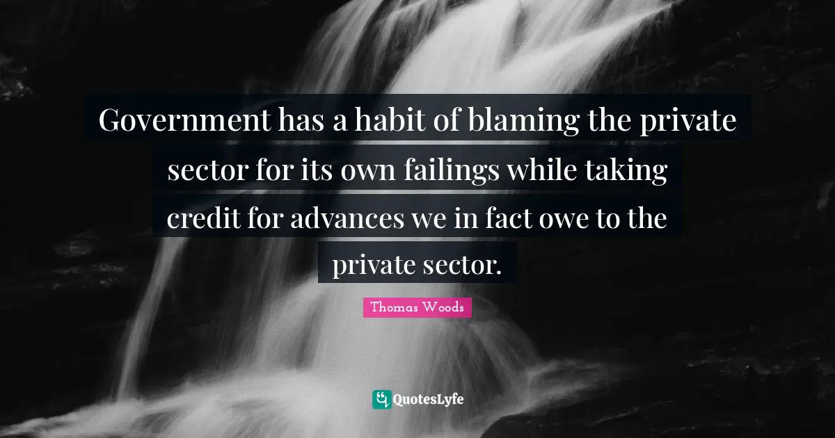 Government has a habit of blaming the private sector for its own failings while taking credit for advances we in fact owe to the private sector.