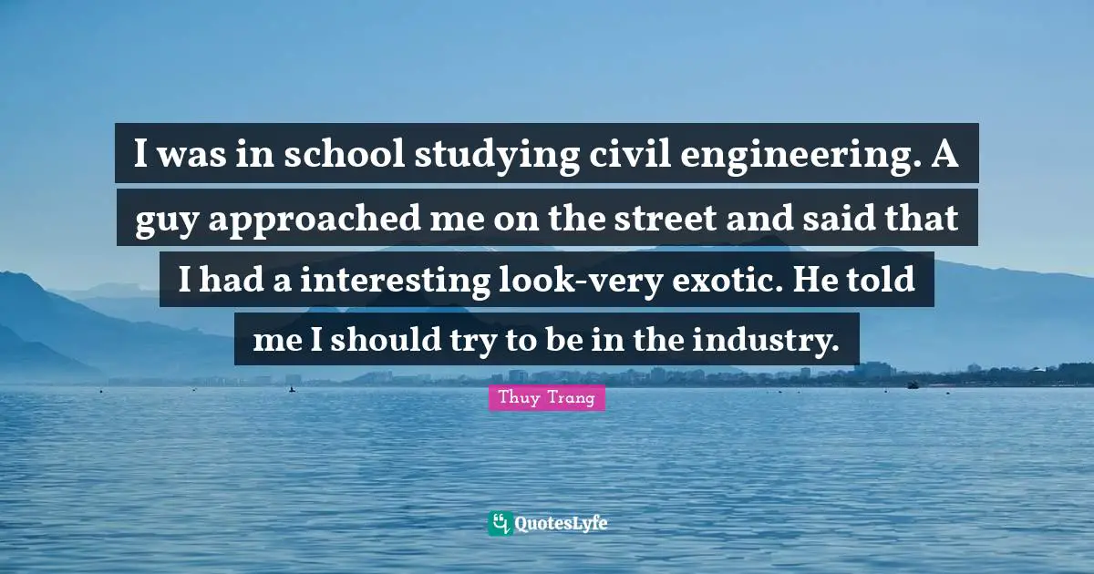 Thuy Trang Quotes: I was in school studying civil engineering. A guy approached me on the street and said that I had a interesting look-very exotic. He told me I should try to be in the industry.