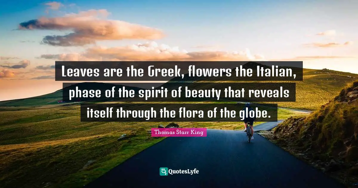 Leaves are the Greek, flowers the Italian, phase of the spirit of beauty that reveals itself through the flora of the globe.