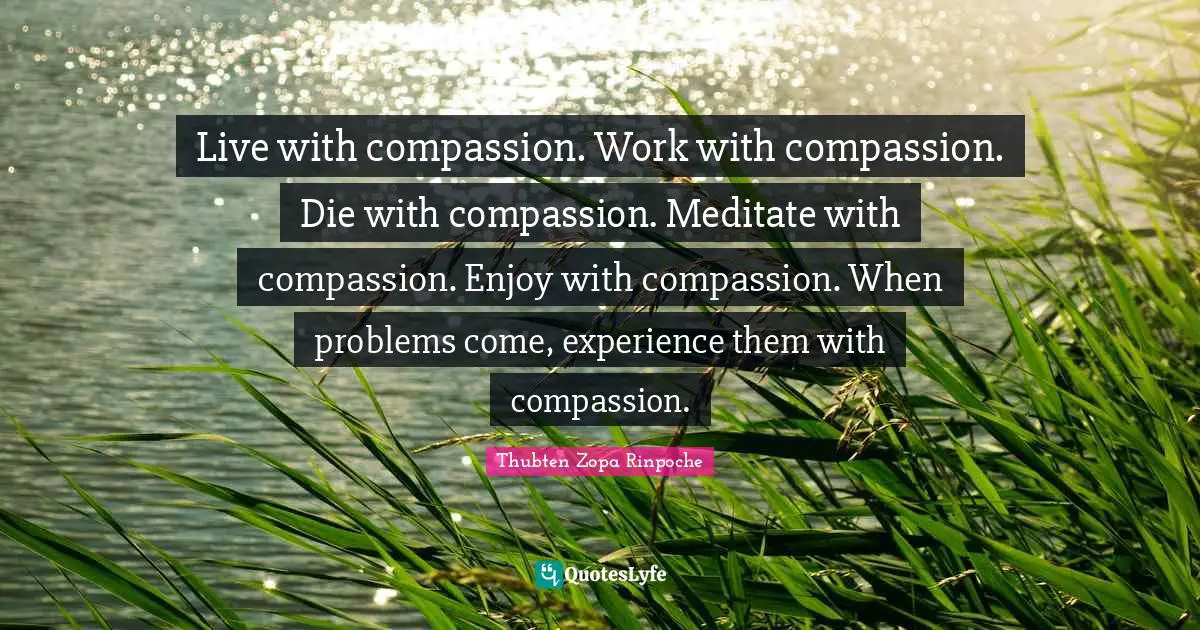 Live with compassion. Work with compassion. Die with compassion. Meditate with compassion. Enjoy with compassion. When problems come, experience them with compassion.
