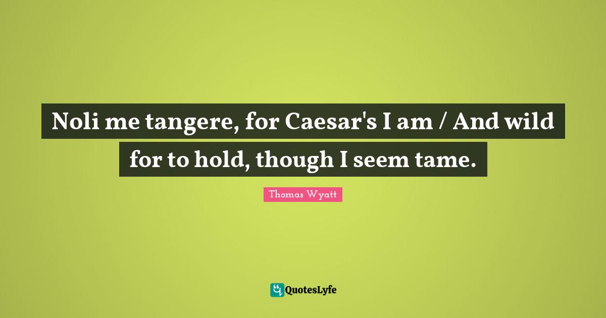 Noli me tangere, for Caesar's I am / And wild for to hold, though I seem tame.