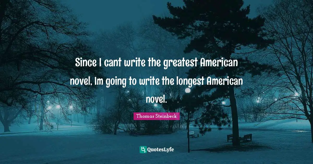 Since I cant write the greatest American novel, Im going to write the longest American novel.